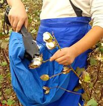 Cotton picker electric cotton picker cotton picker cotton picker cotton plucking machine
