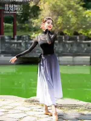 Classical dance practice clothes Women's suit Autumn and winter dance gauze clothes Long-sleeved mesh top one-piece skirt ballet body clothes