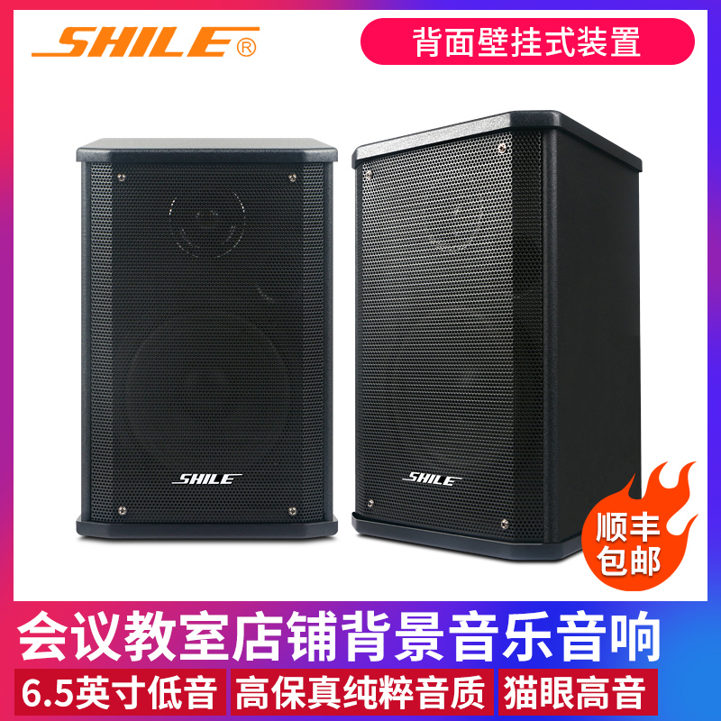 Lion Music BX101 Indoor High Fidelity HIFI Speaker Home Theater Background Music Wall-mounted Conference Sound-Taobao