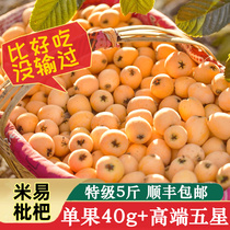 Sichuan Loquat Loquat Brass Flower Loquat Fresh Big Big Rice Easy Pipa Фрукт Большие Пять Звезд Loquat Когда