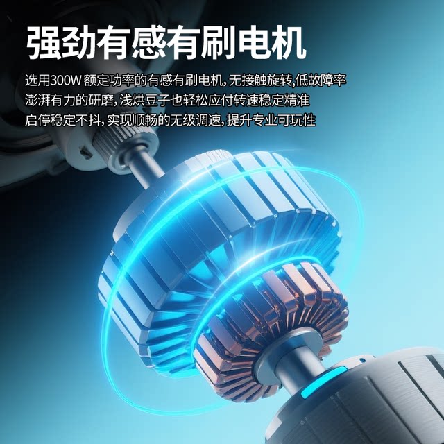 Basecent Electric Coffee Grinder for Espresso and Pour-Over Coffee, Home Use Coffee Bean Grinder