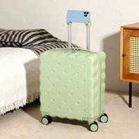 Авокадо зеленая модель молнии [оригинальный запатентованный продукт]