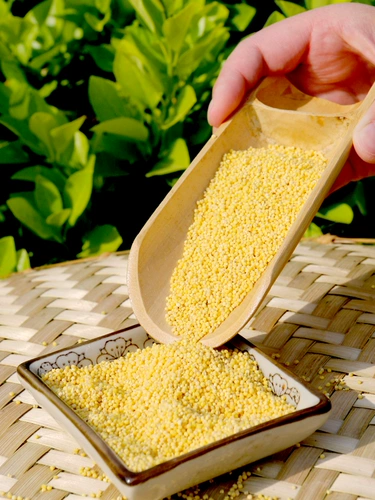 Столичная вода посадка красная долина Xiaomi Mi -Fennian Family New Rice Huang Xiaomi 400G Разное зерно Xiaomi