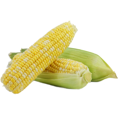 Mi Nong's Fruit Corn Fresh Sweet Sweet Corn Walks теперь собирайте и есть хрустящие сладкие 1,5 кг свежих овощей