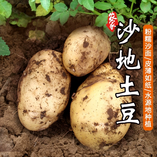 Песчаная картофельная порошковая лапша песчаная клейкая экологическая посадочная кожа такая же тонкая, как бумажные фермеры, жир без выпуклости картофель 500 г
