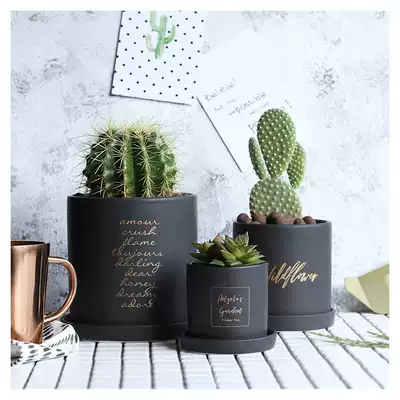 WOOKEN Nordic plant flowerpot gold cement fleshy pottery basin porcelain black and white cylindrical perforated bottom