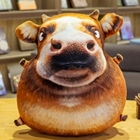 Хвастаться