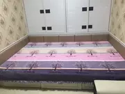 Pha lê AB tăng phiên bản tùy chỉnh rửa sạch bông cộng với nhung Four Seasons chăn bông tatami Kang giường bìa trượt trẻ em leo - Trải giường