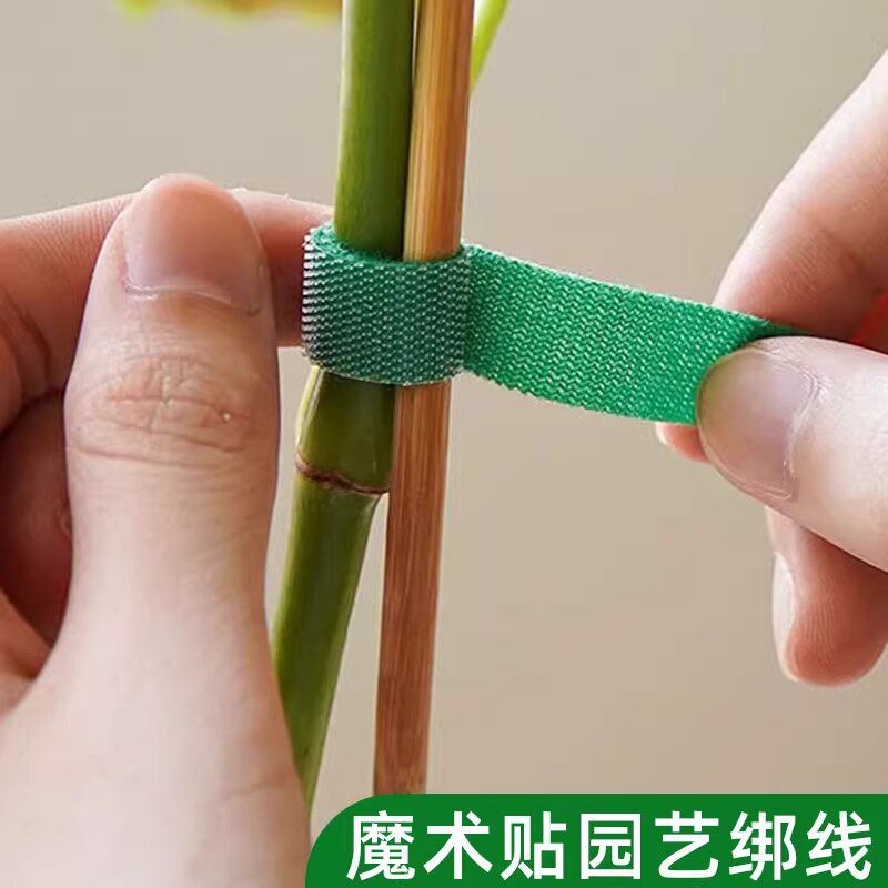 マジックテープ付きの植物固定具、両面粘着式の園芸用結束バンド、切り花を支えて固定するための園芸用結束ストラップ。