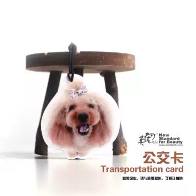(British pet surrounding) imported technology British pet photography custom creative bus card to customize