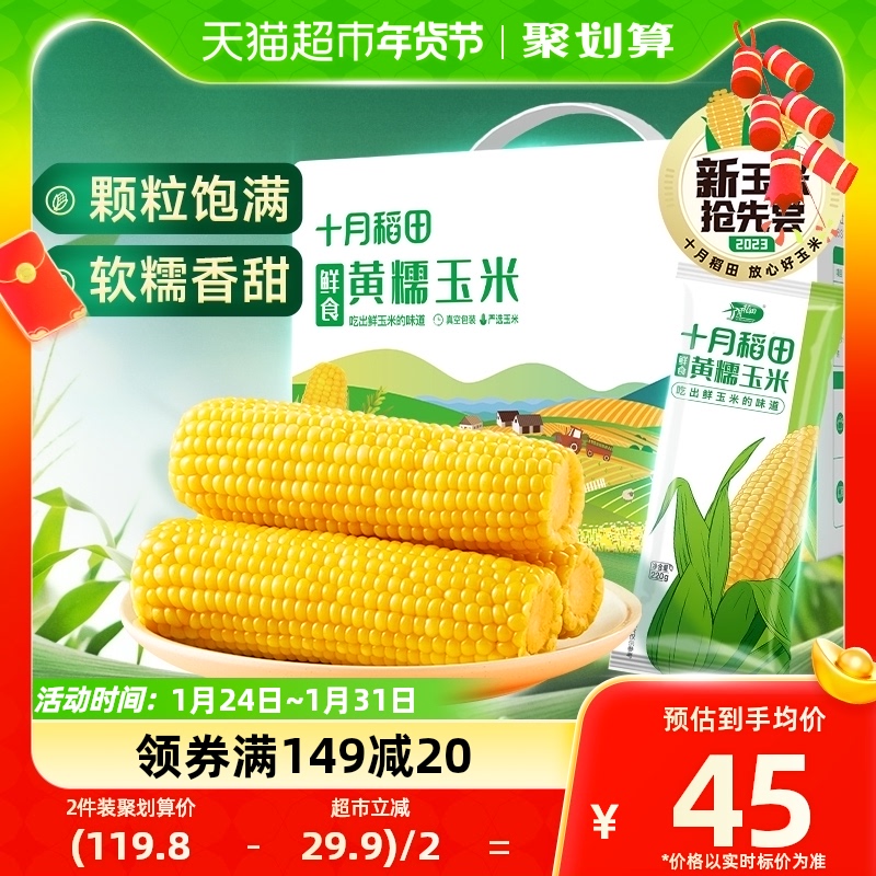 (New Corn 2023) October Inada fresh food yellow glutinous corn 2 2kg Northeast glutinous corn millet Coarse Grain-Taobao