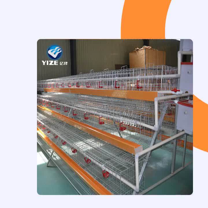 Hot Selling Africa Chicken Cage For Sale Automatic Chicken Layer Cage