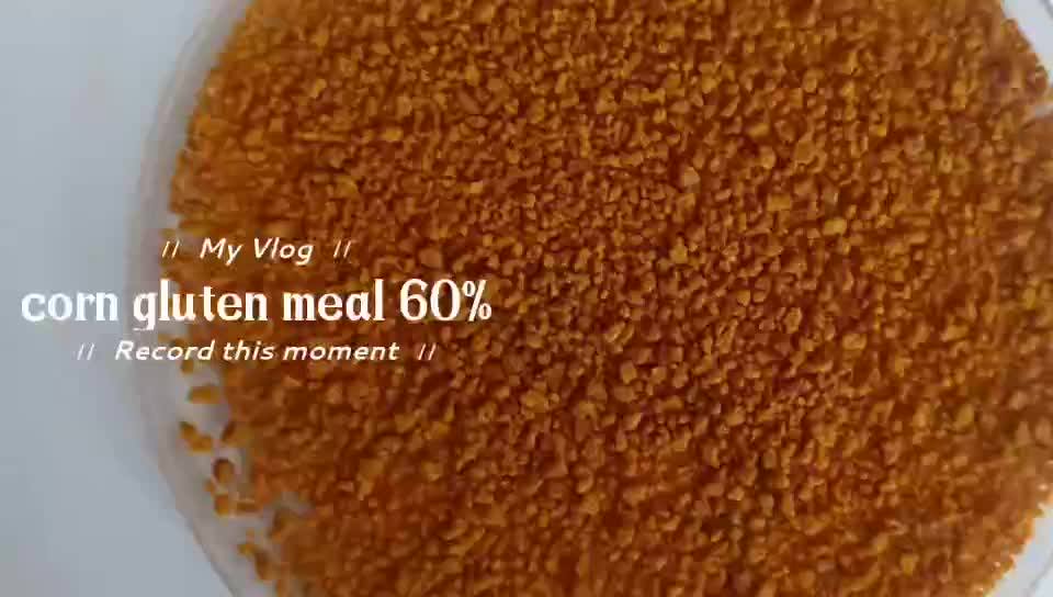 Animal Feed Lute Corn Gluten Meal In Bulk Buy Animal Feed Lute Corn Gluten Meal In Bulk,Animal