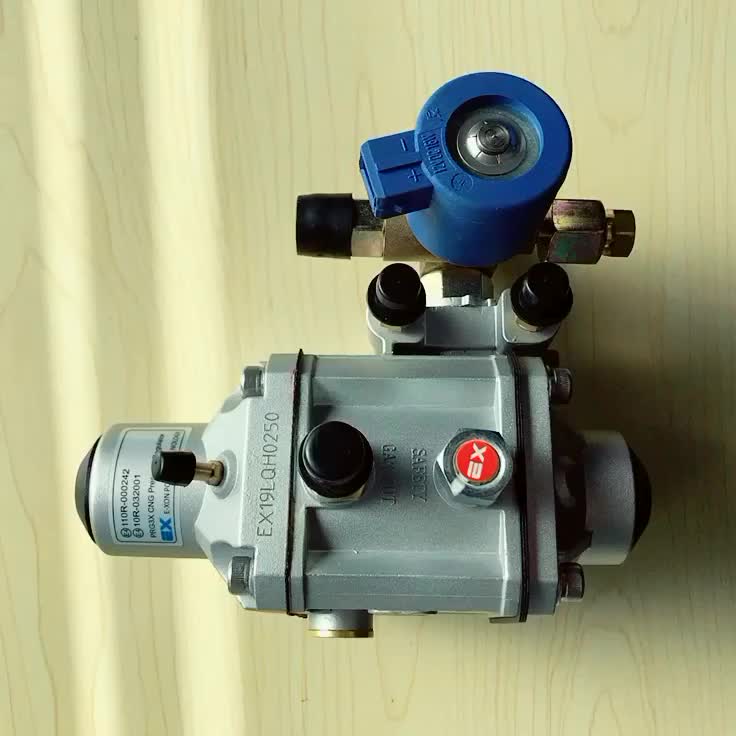 Xkr03 Cng Conversion Kit Gas Regulator Buy Gas Regulator,Cng Gas Regulator,Gas Regulator Xkr03
