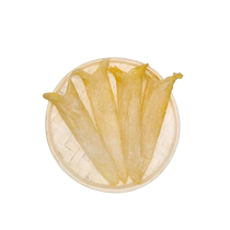 Dried fish maw and isinglass to supplement collagen dried meat stewed chicken custard in soup