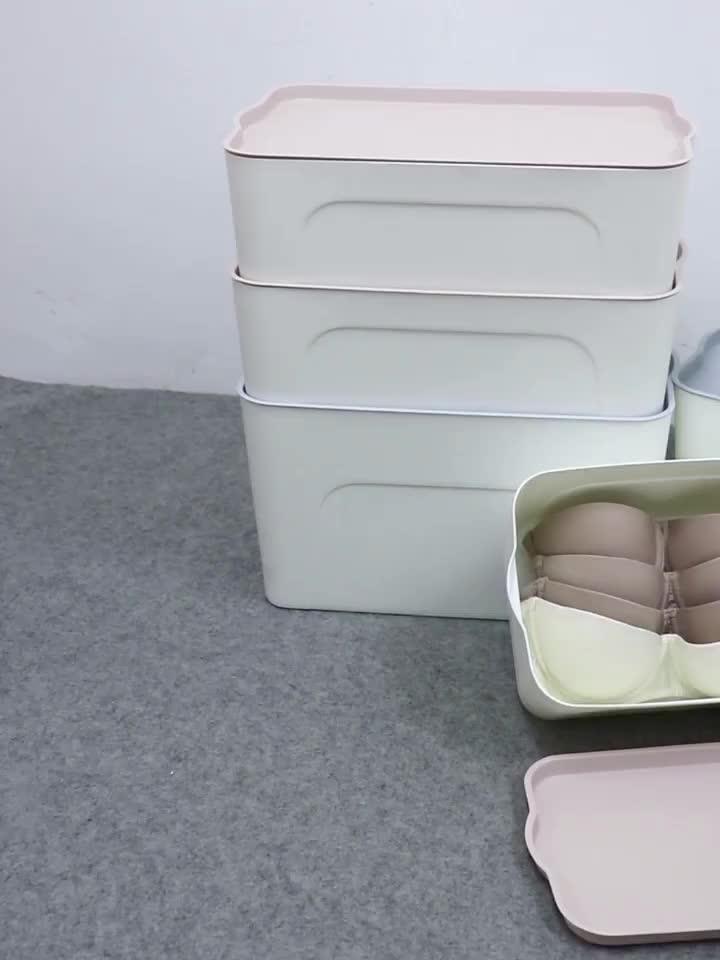 New Product Plastic Storage Case Big Lots Bins Clothes Organizer
