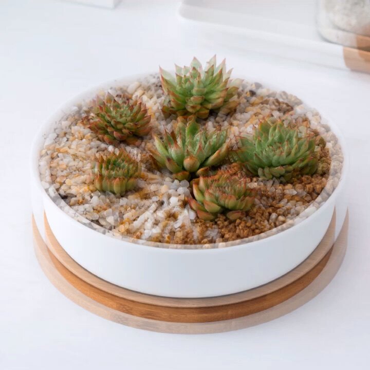 Wholesale 价格便宜的现代白色陶瓷圆形花盆套装竹托盘批发花盆 花盆植物植物花卉from M Alibaba Com