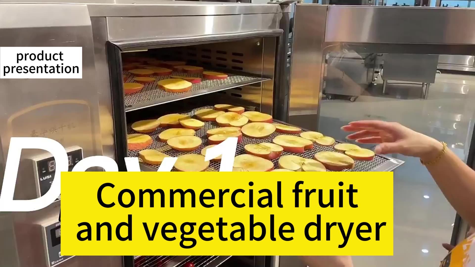 Best Cheap Seafood Both Refined And Coarse Grains And Scented Tea