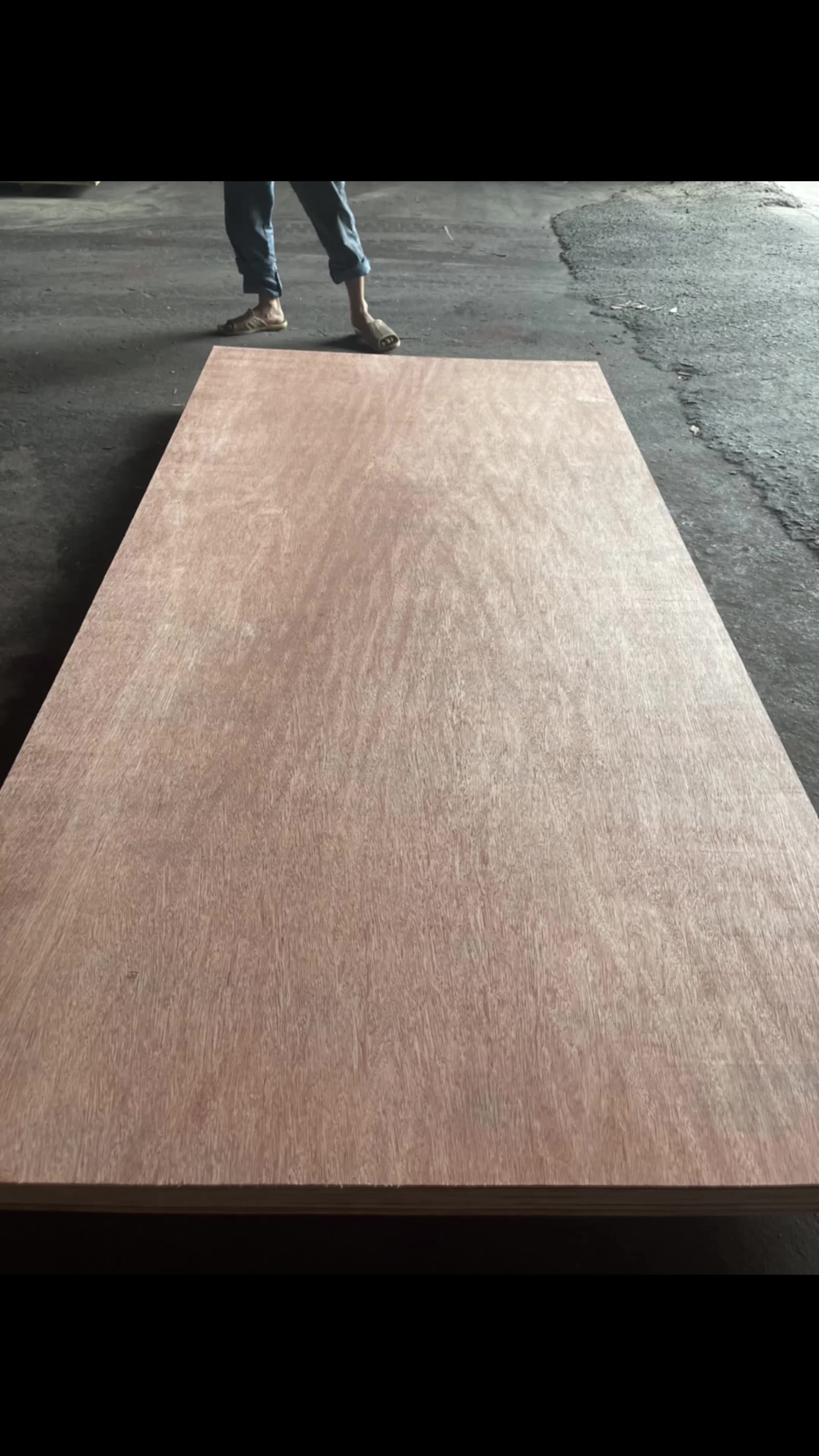 18mm Commercial Plywood Sheet 4x8 6/9/12/16 Commercial Plywood With