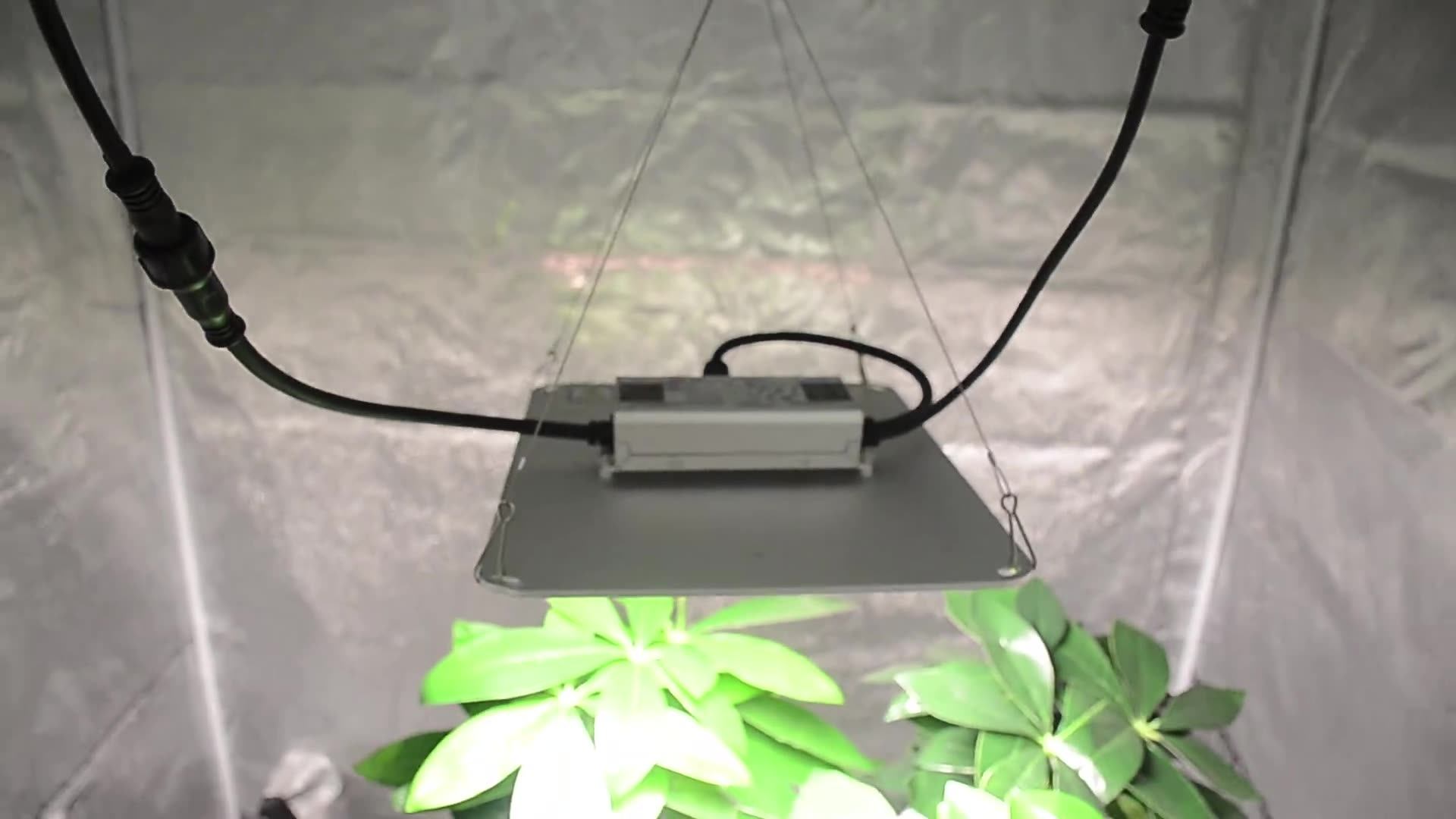 Full Spectrum Lm301b Lm281b Quantum Bar 100 W Watt 100w Led Grow Panel