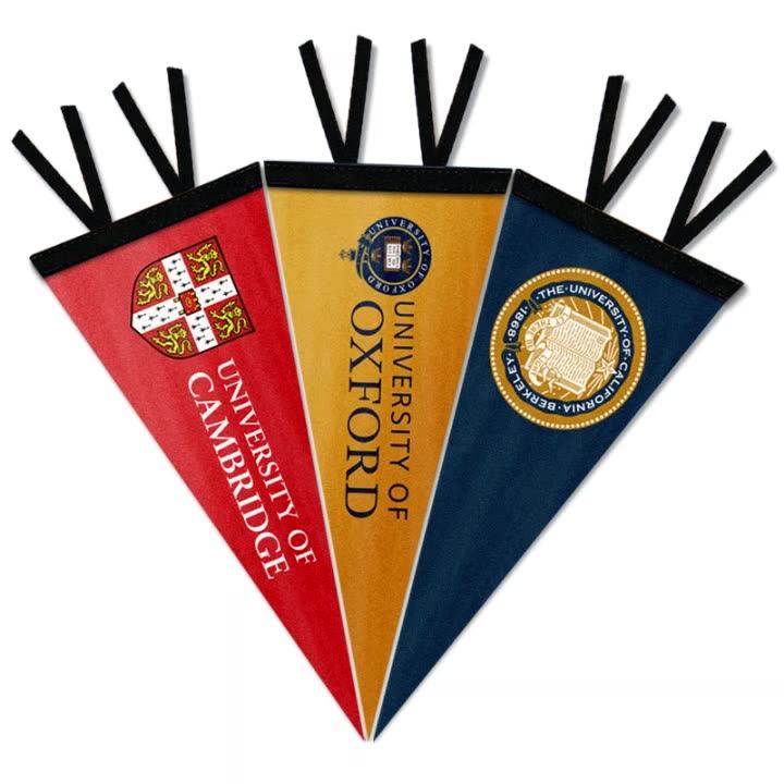 Sport Felt Banner / Felt Pennants / Custom Advertising Felt Pennant