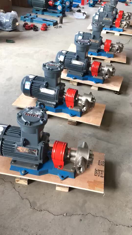 Stainless Steel Food Grade Sanitary Cooking Oil Transfer Gear Pump