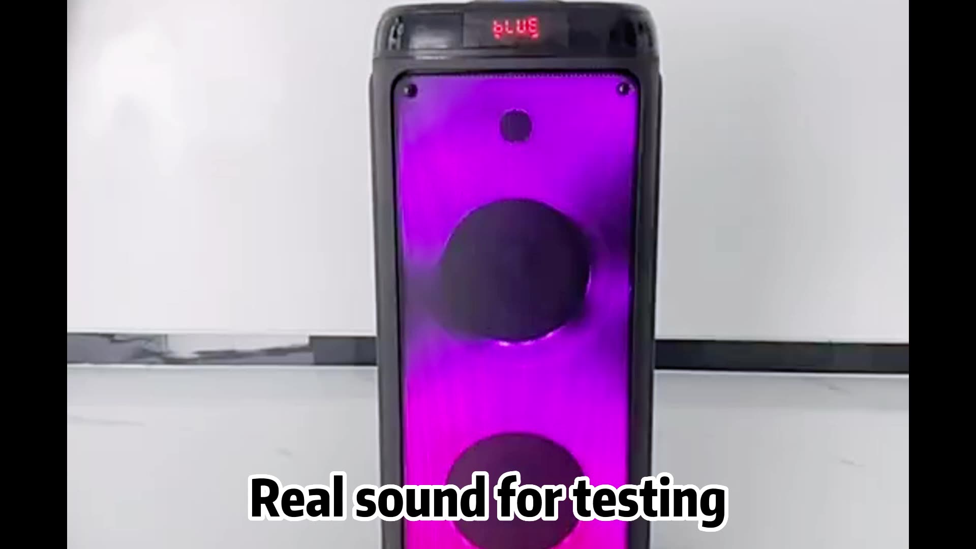 Oem Big Size 10" Karaoke Bt Subwoofer Amplifier Wireless Sound System