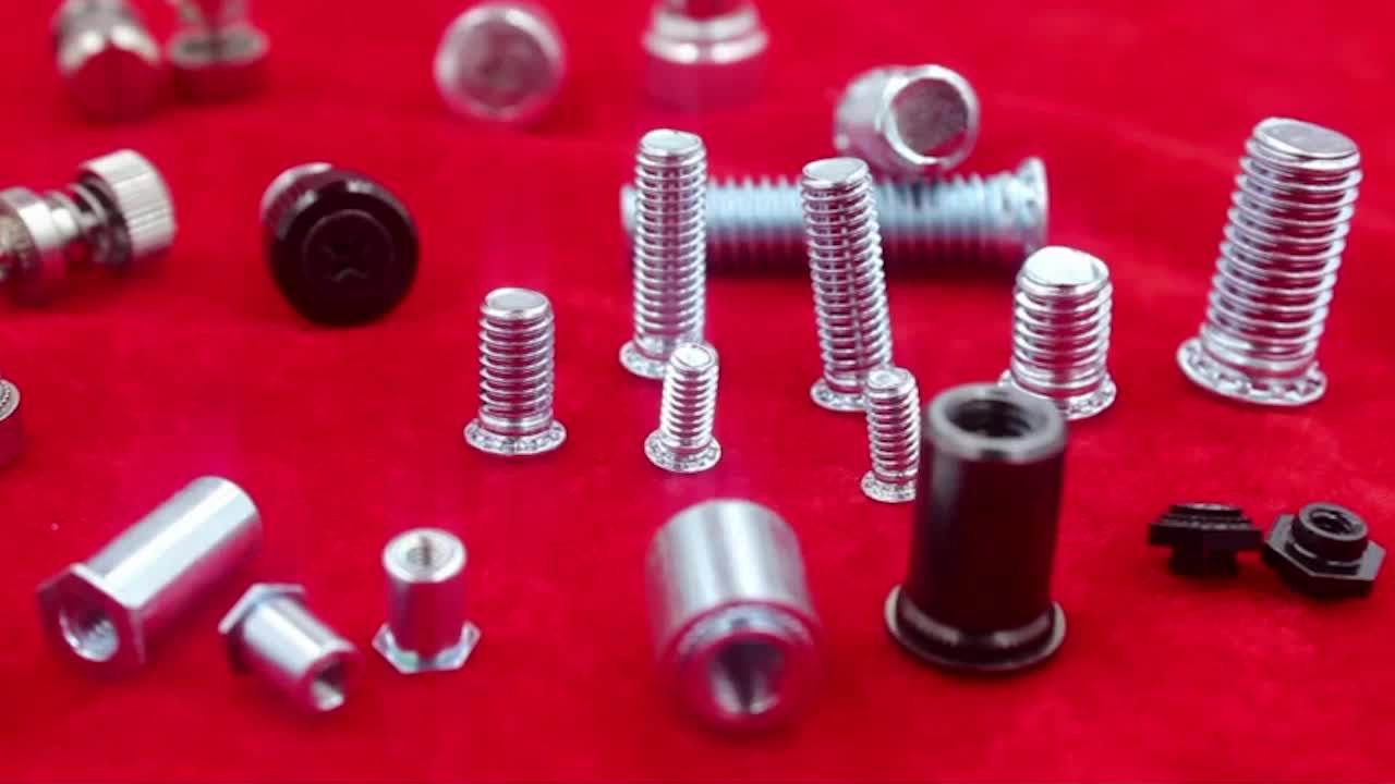 M3 M4 M5 M6 Cls Stainless Steel Clinch Nut /metal Sheet Clinching Nut