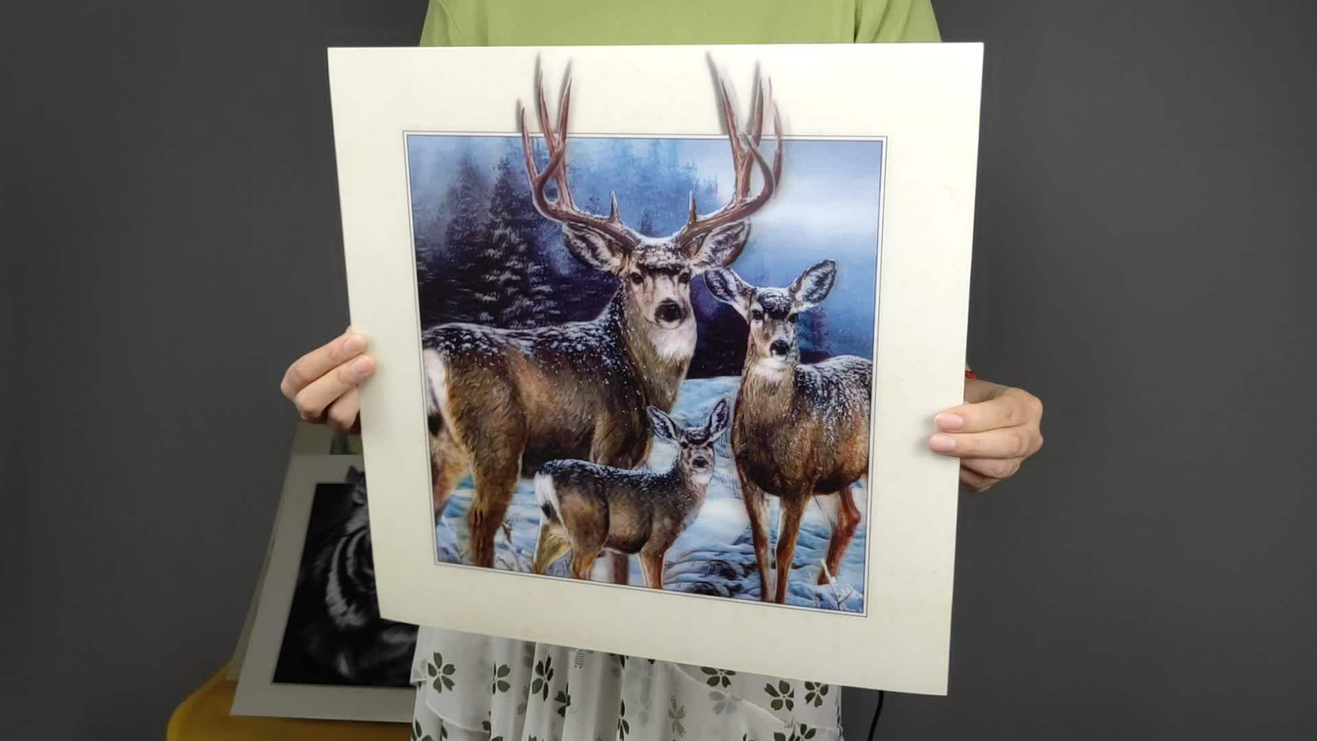 Линзовидная картина с эффектом 3d и 5d