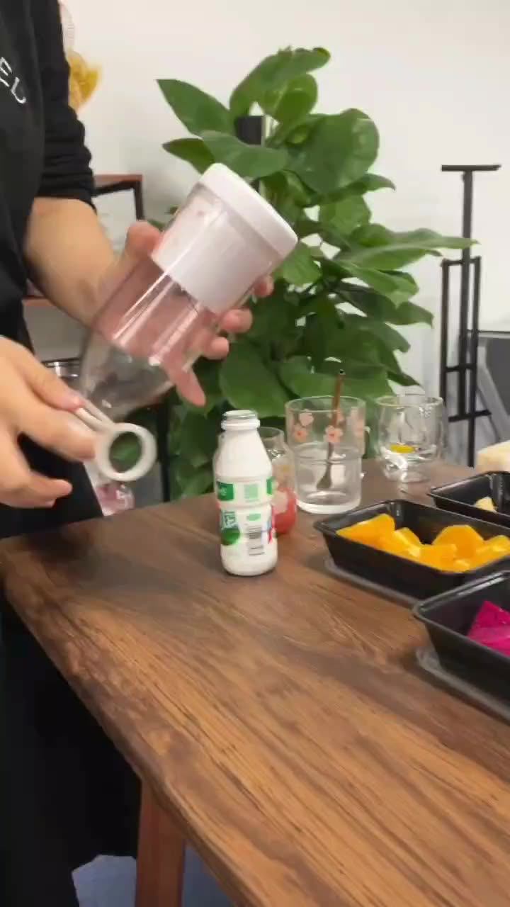 Tiktok Hot Selling Portable 420ml Fruit Ice Mixer Cup Blender Usb