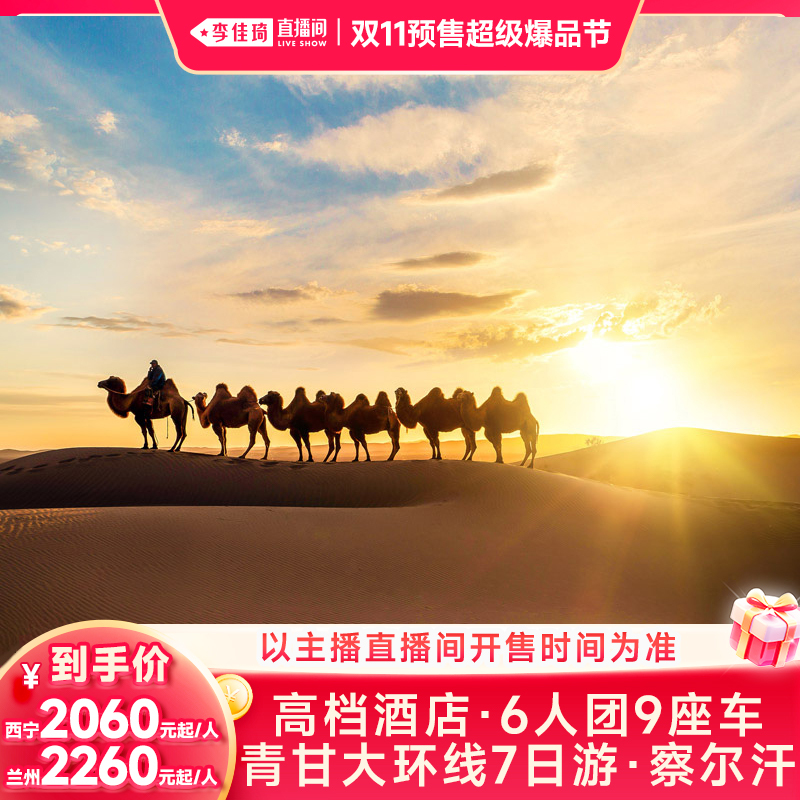 【Li Jiaqi's Double 11 Super Hot Sale Festival】Qinghai-Gansu Grand Loop Route 7-Day Qarhan Tour for 6-Person Group with 9-Seater Vehicle