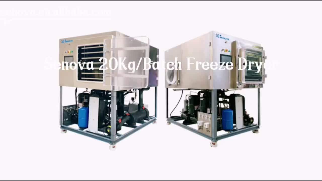 20kg Mini Industrial Lyophilization Dry Vacuum Food Freeze Drying