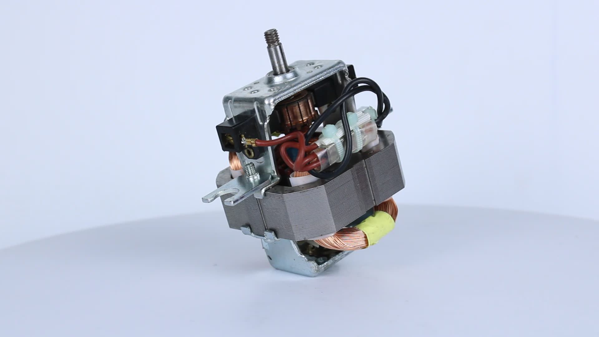 220v/230v 50/60hz Universal Electric Ac Motor 76*64*20mm Juicer Chopper