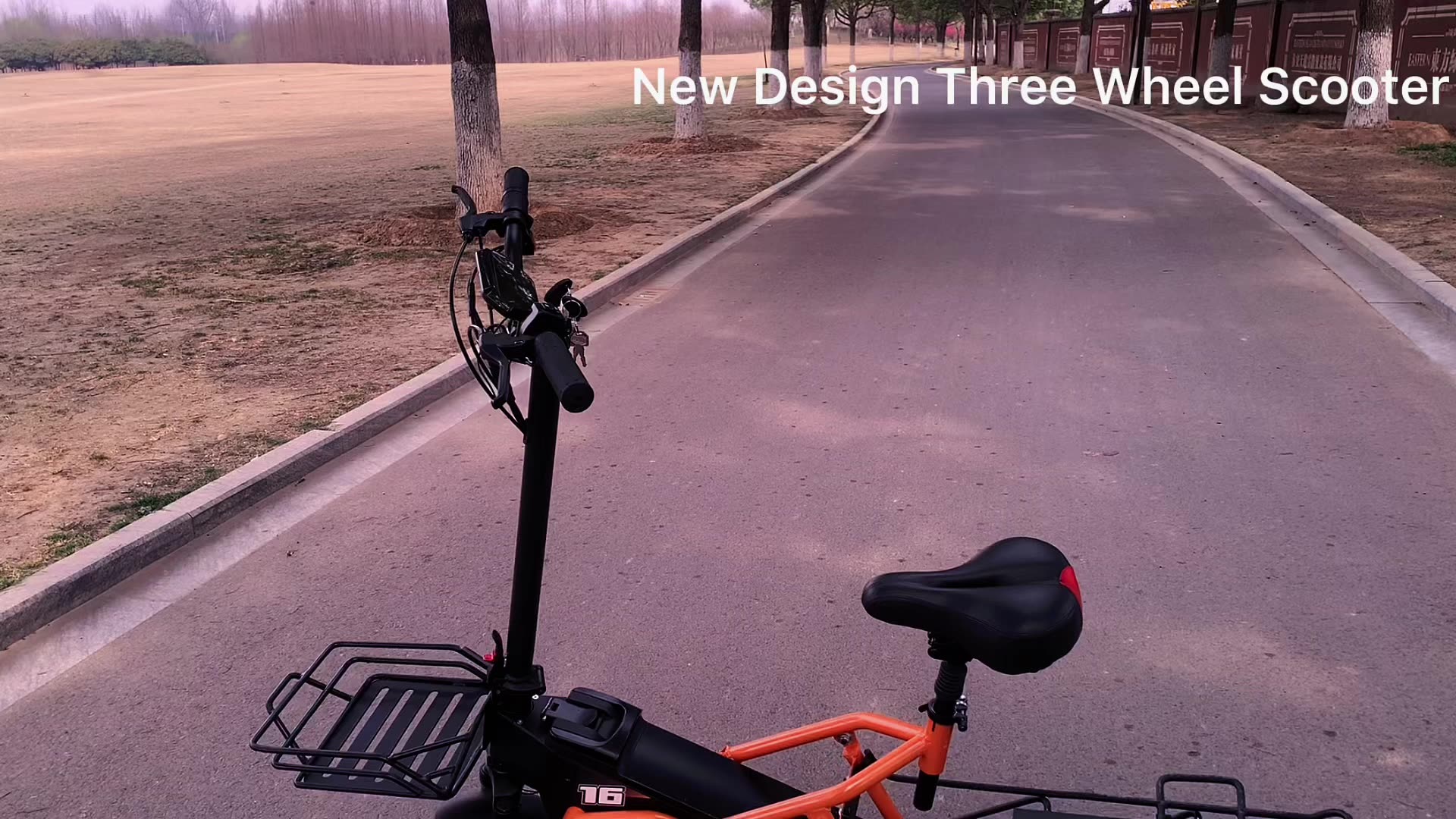 PXID Electric Scooter