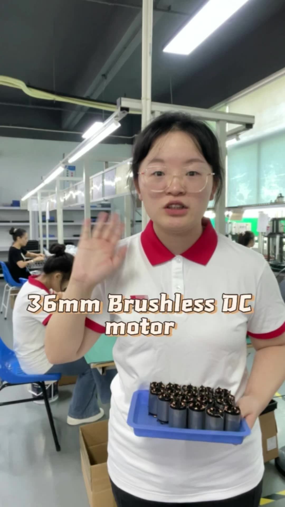 Bldc Motor 24v 12v Small Engine 36mm 3650 Tt Custom High Power High