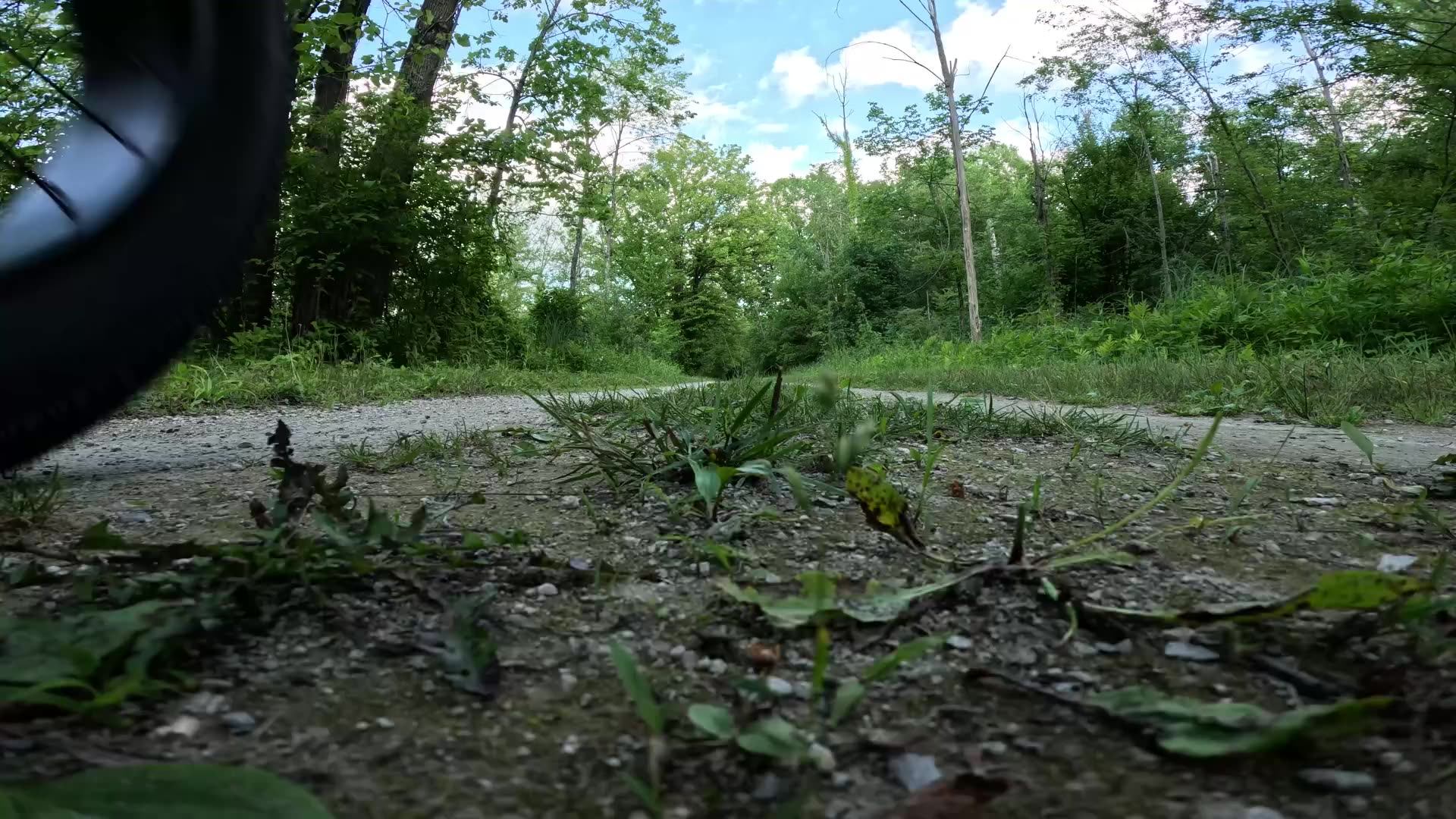 motor 3 wheel bicycle