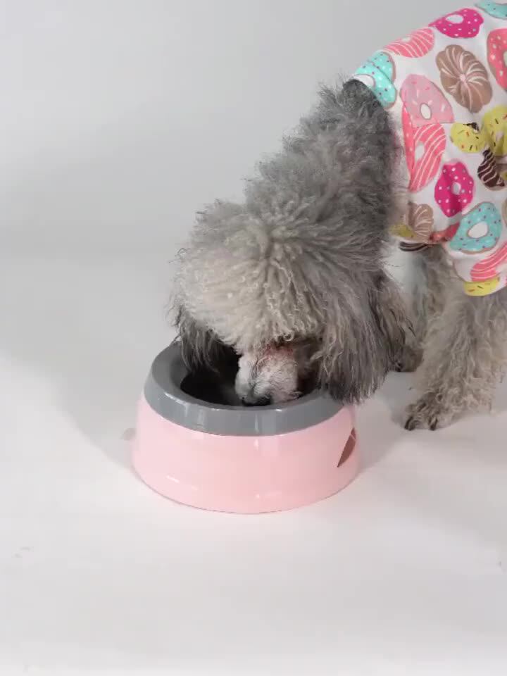 The Nospill Slobber Stopper Water Bowl For Dogs,Slow Feeder Water