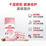 Королевский K36/BK34 котенок кошачий кошка кошачий молочный пирог британский короткий американский короткий короткий марионетка беременная кошка с полной ценой Официальный аутентичный продукт