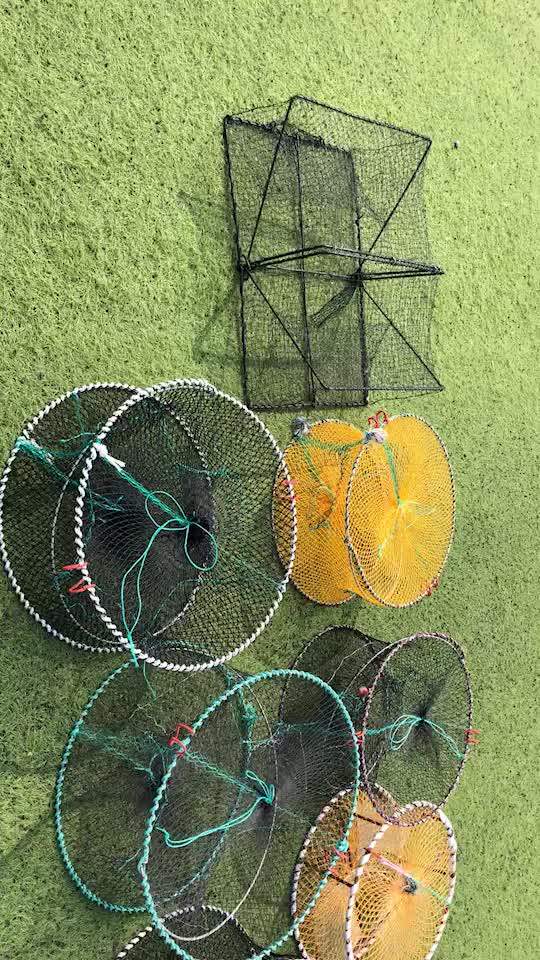 Plastic Leisure Lobster Crayfish Traps Sweden Cast Net Eel Fishing With