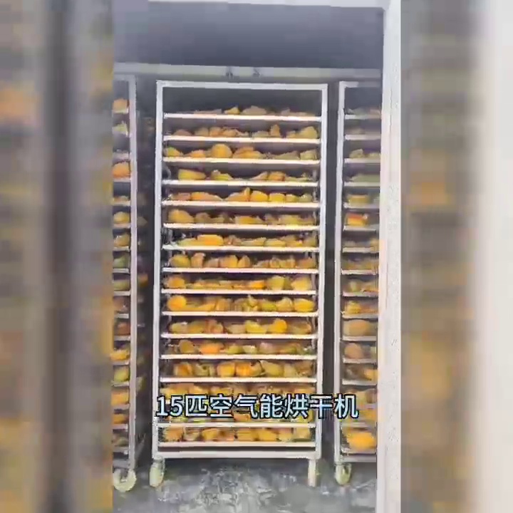 4800块买个“空气可以竹笋烘干机”。这个届农民开始用渠道暴打传统土灶了。