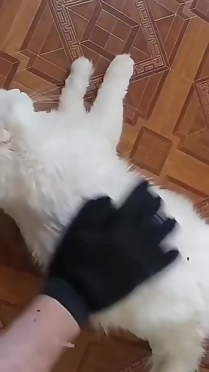 Wholesale Eco Friendly Waterproof Pet Grooming Mitten Gentle Deshedding