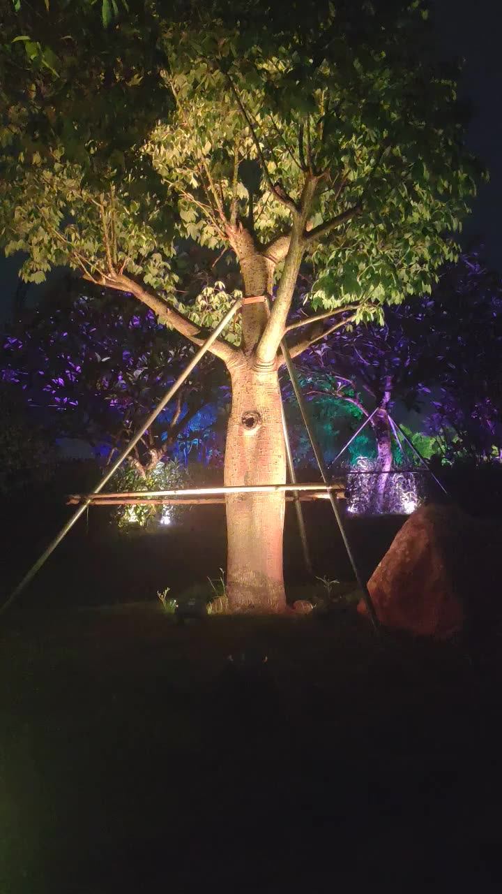 Led Palm Tree Light Ring Outdoor Up Lighting For Trees Landscape