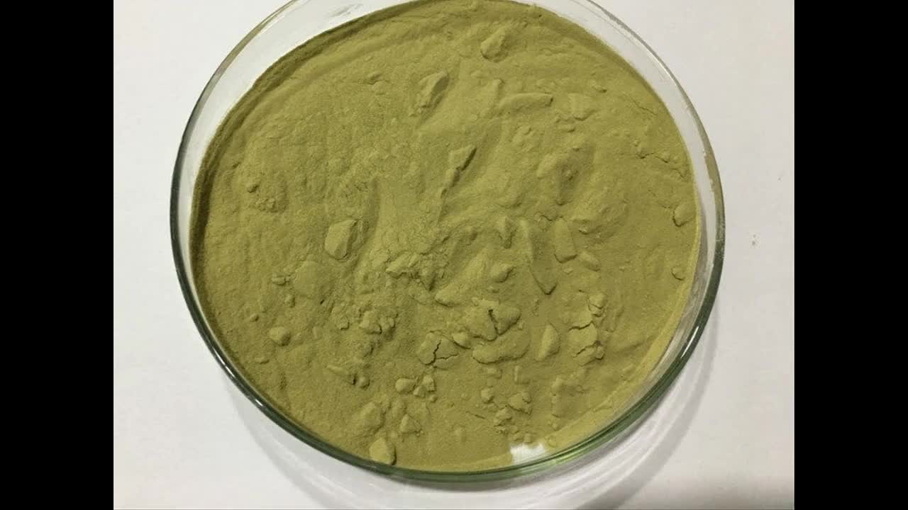 China Herb Extract Alfalfa Extract Powder Buy Alfalfa Extract Powder
