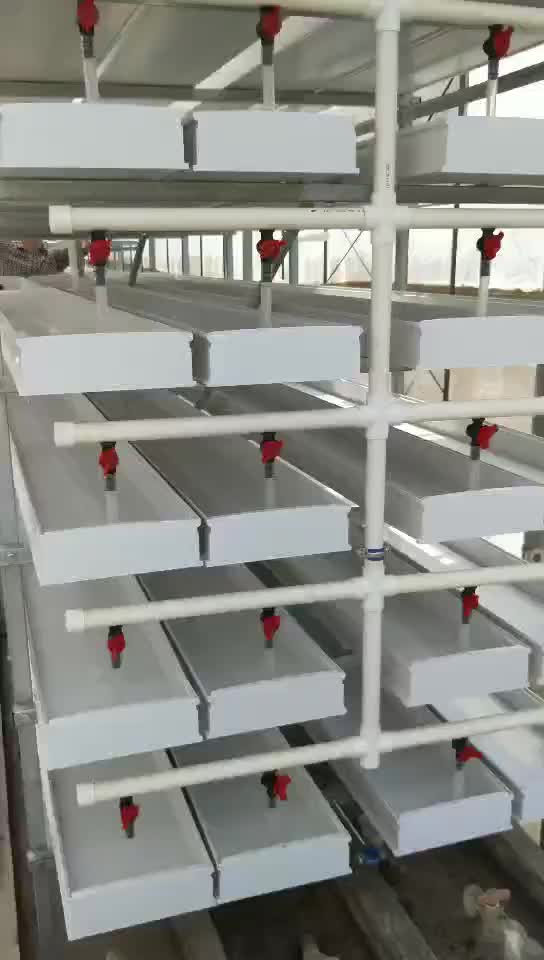 trays fodder system hydroponic tray growing grow plant microgreens commercial supplies lids nursery barley channel machine systems plastic alibaba pvc