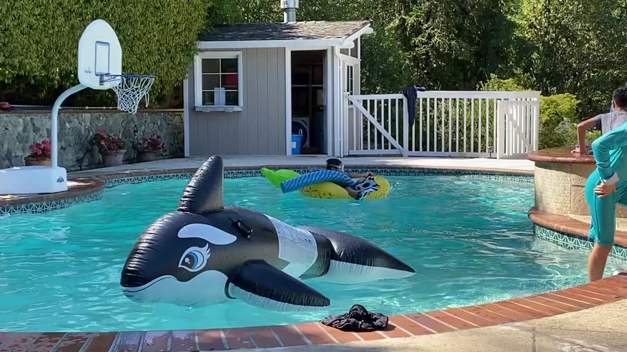 Intex Pool Floats Whale Ride-on Inflatable Island Float