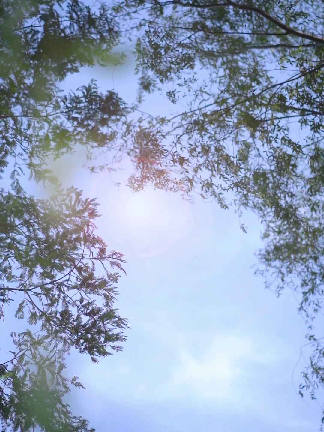 宿舍出租房必备！志高迷你冰箱，节能够省电、空间虽然小，可力俱整个❄️✨