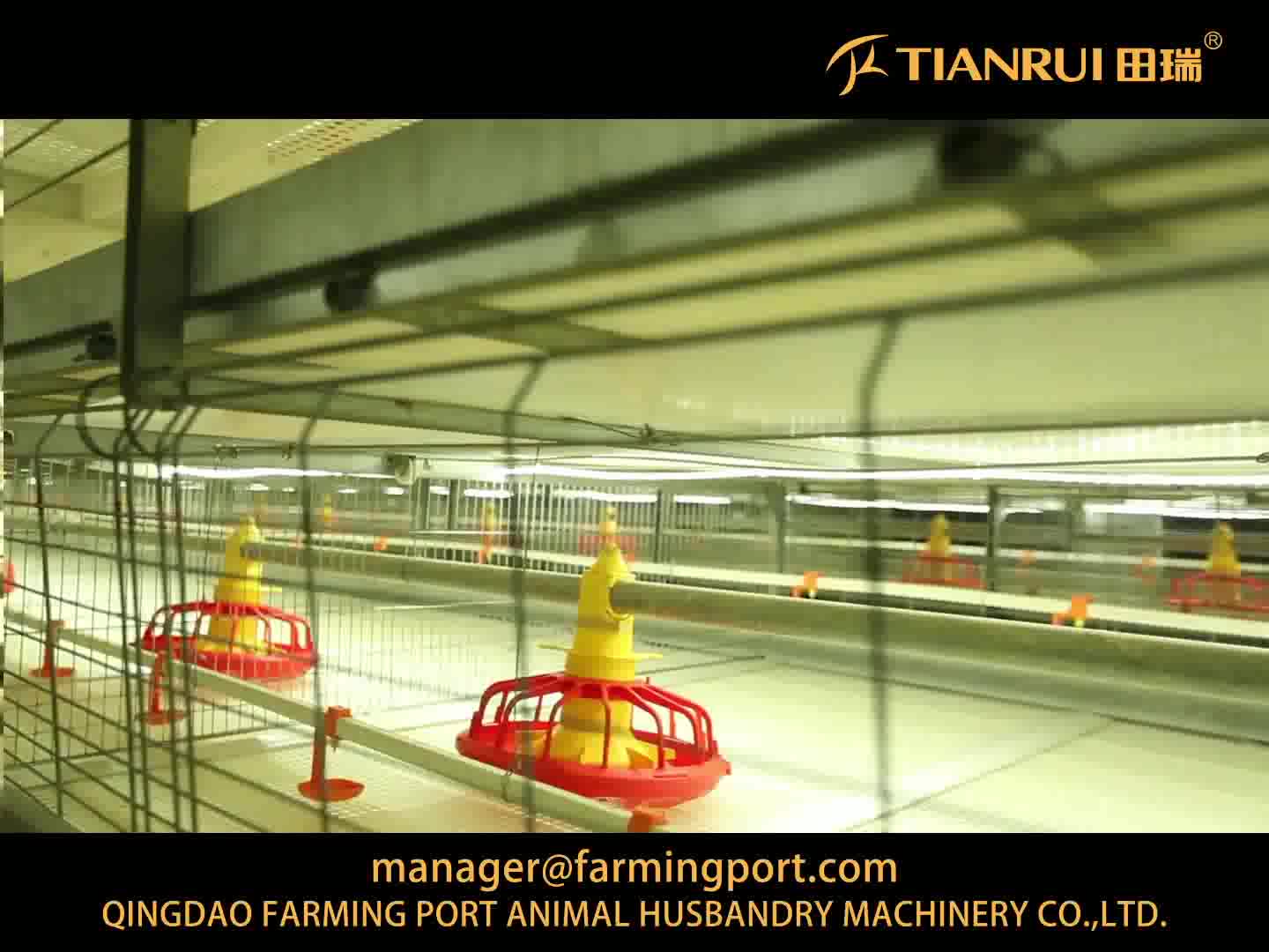 Affordable 710 Years Lifetime 4 Levels Commercial Chicken House For