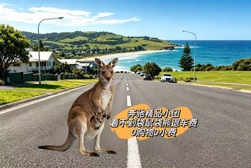 [Alpha Mercedes Door-To-Door Pick-Up] Sydney Southern Route: Kiama & Gerringong & Kangaroo Valley One-Day Tour