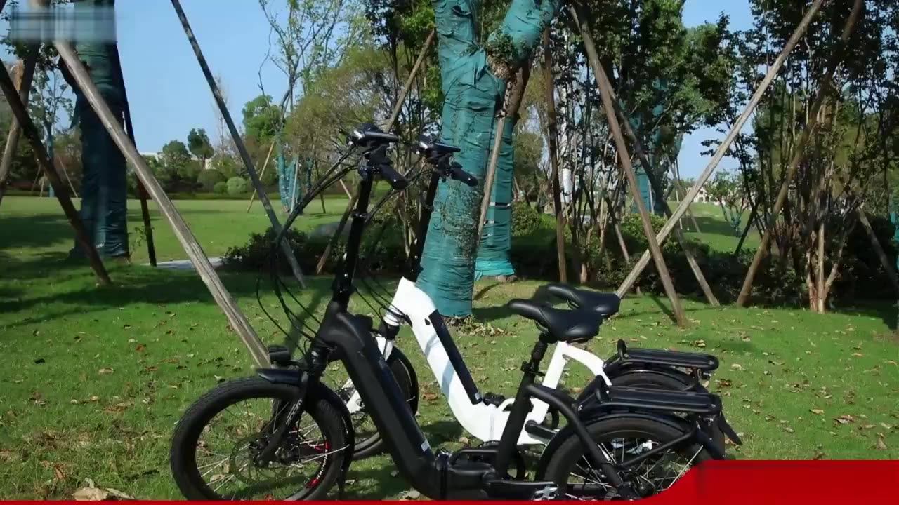 20 36v10ah 250w Dc Motor City Ebike Lightweight Electric Assist Bike