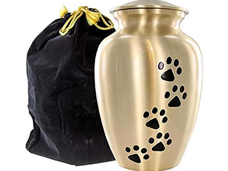 43 HQ Images Pet Cremation Urns Amazon / Near & Dear Pet Memorials Shiny Brass Dog Cremation Urn ...